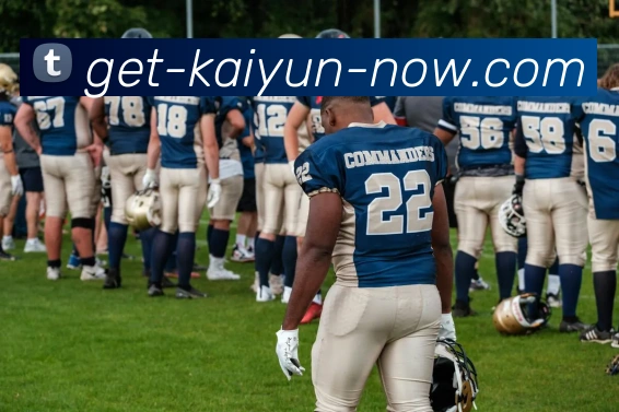 开云官网平台生态图